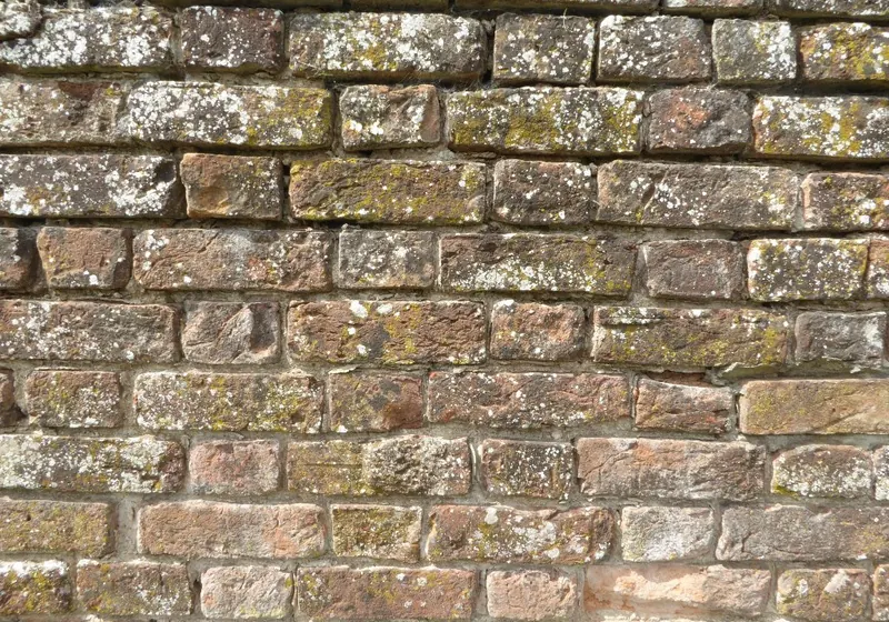 Brick wall in Flemish bond, with the short ends of bricks showing between the long sides